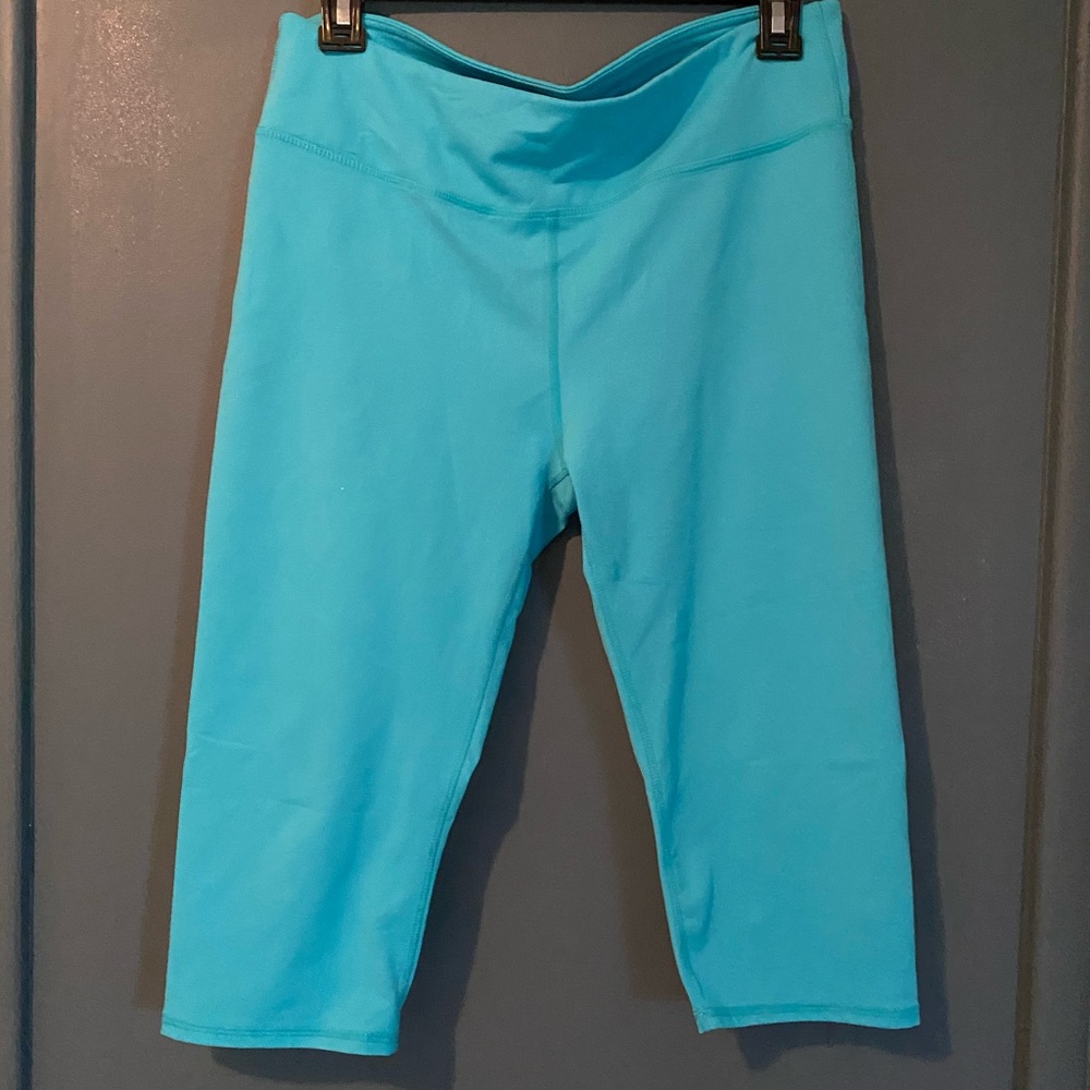 Fabletics Blue Leggings